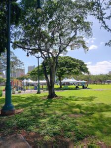 ʻaʻala Park © Davina Sanders on Google Maps