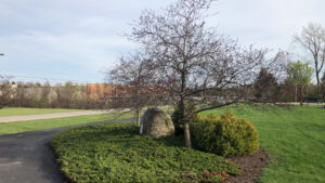 Alum Creek Park South © Tony Galante on Google Maps