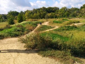 Alum Creek Park South © Rohit Rajendran on Google Maps