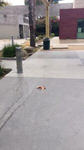 Andres And Maria Cardenas Skate Park © Jon Mose on Google Maps