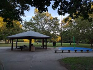 Arsenal Community Park © Suraj M on Google Maps