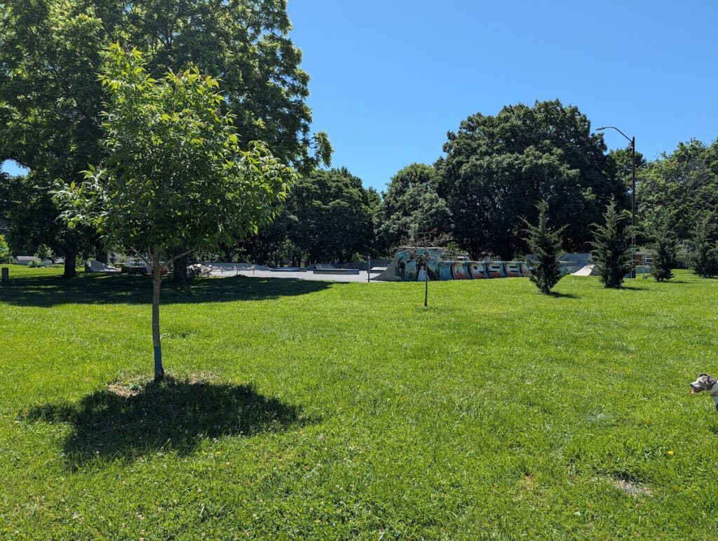 Arsenal Park © Shannon Schenk on Google Maps