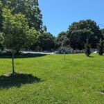 Arsenal Park