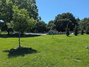 Arsenal Park