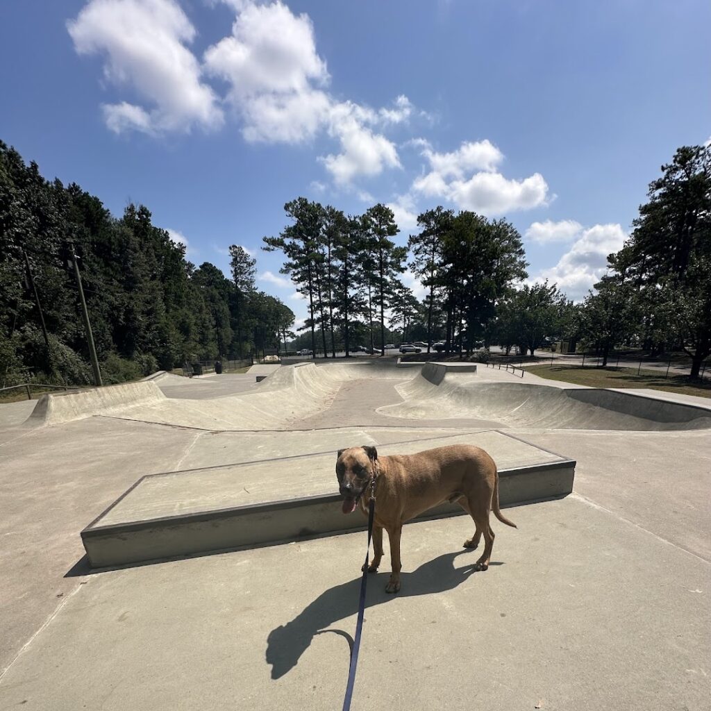 Auburn-opelika Skate Park © Laura Sellers on Google Maps