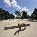 Auburn-opelika Skate Park