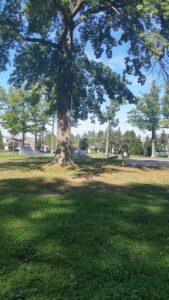 Avon Lake Skate Park © Joanne Richendollar on Google Maps