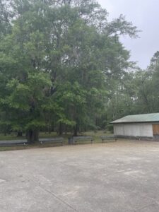 Baldwin Skateboard Park © Jules on Google Maps