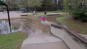 Bear Branch Skate Park © David Dushman on Google Maps