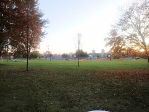 Belding Skate Park © EagleEyeExplorer on Google Maps