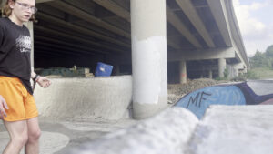 Bellevue Skate Park © The Real on Google Maps