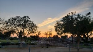 Bellflower Skate Park © Jose Loza on Google Maps