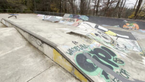 Bloomsburg Skatepark © Q P on Google Maps