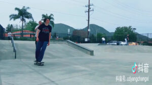 Borchard Skatepark © Changxi Yang on Google Maps