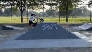 Brad Purcell Skateboard Park © Alex TC on Google Maps