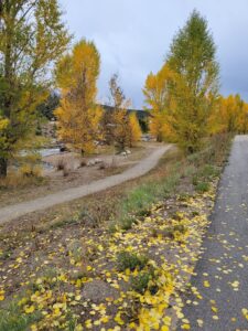 Breckenridge Skatepark © Mark Goins on Google Maps