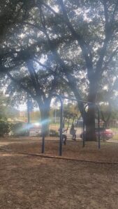 Brenham Skatepark © Barbara Rayam on Google Maps