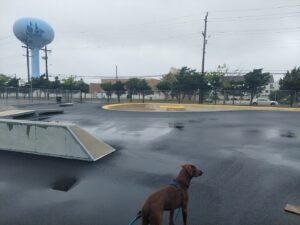 Brigantine Skatepark © Taylor Michels on Google Maps