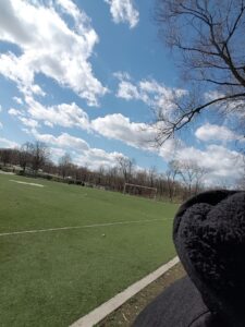 Bronx Skate Park © omarnumbawan on Google Maps