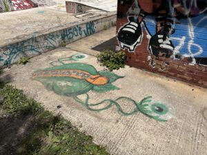 Carroll Park Skate Park © Nicholas Miles on Google Maps