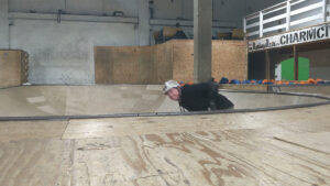 Charm City Skate Park © Paul Meyers on Google Maps