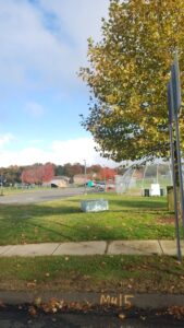 Cheshire Skatepark © Suh Jose on Google Maps