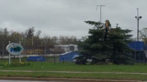 Chris Blackburn Memorial Skate Park © Phantom Haranguer on Google Maps