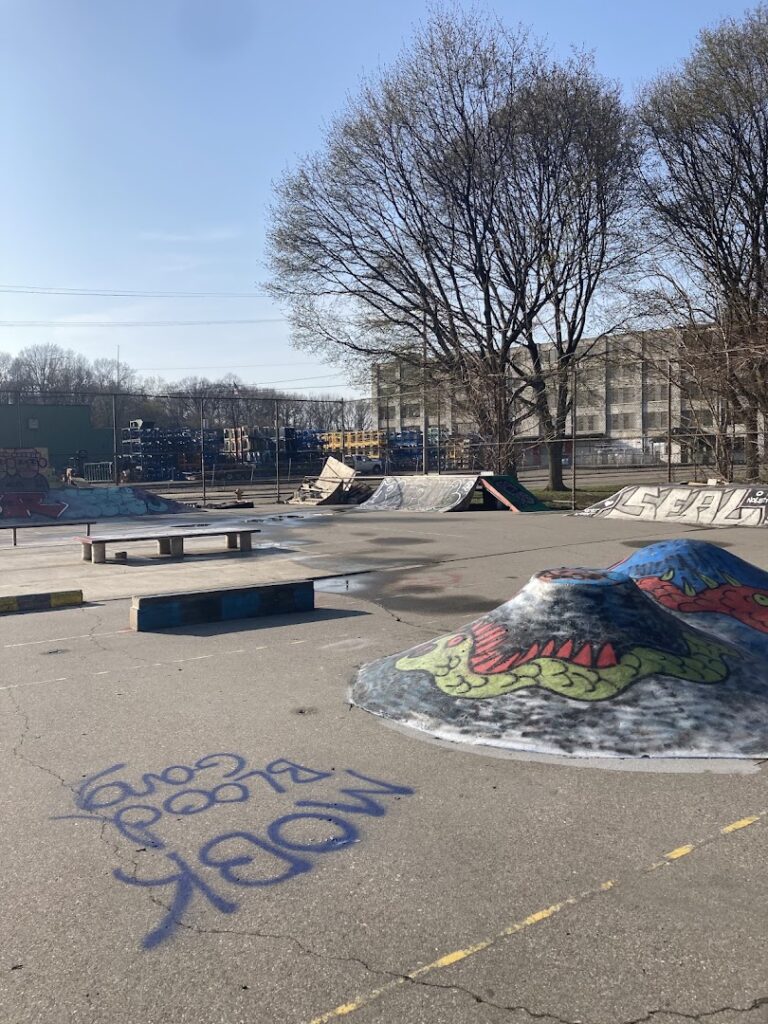 Clemente Diy Skate Park © Chicken Person on Google Maps