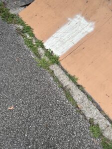 Cleveland Heights Skate Park © Lida Allen on Google Maps