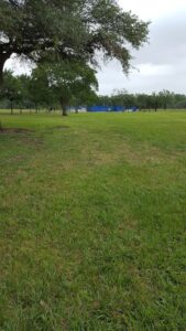 Clinton Skatepark © Nancy Allen on Google Maps