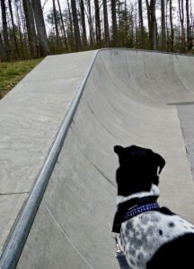 Cosca Skatepark © Fred Delventhal on Google Maps