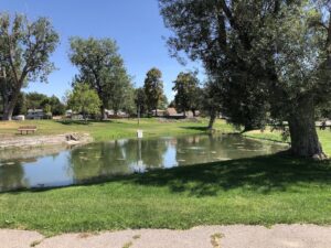Cushing Park © Marcus Forelius on Google Maps