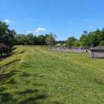 Dansbury Skatepark