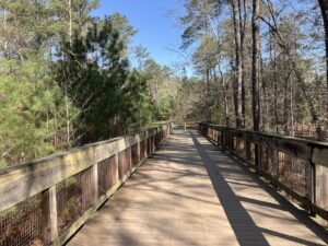 Deshong Park © Jeanette’s daughter on Google Maps