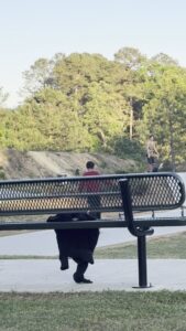 Denny Dobbs Skatepark © Bsaij 360 on Google Maps