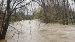 Eagle Creek Park © Mark Belsher on Google Maps