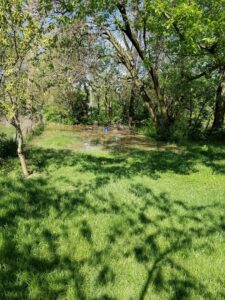 Eagle Creek Park © Betty Hover on Google Maps