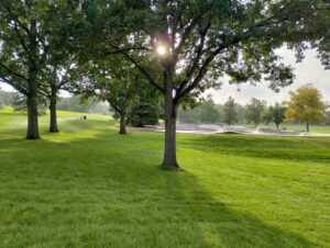 Edora Park © Shane Peterson on Google Maps