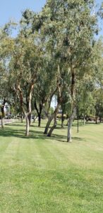 Ensenada Park © A Z on Google Maps