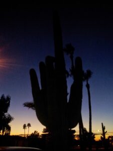 Ensenada Park © Helogirl 32 on Google Maps