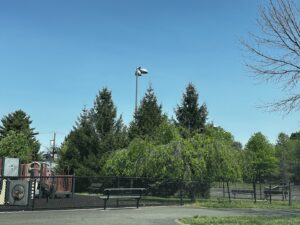 Esposito Skatepark © Suzette Sequeira on Google Maps