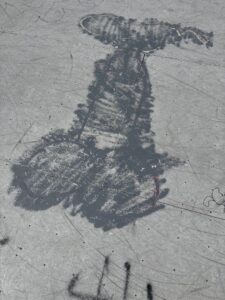 Findlay Skate Park © A Evans on Google Maps