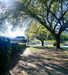 Foley Skate Park © suzi perret on Google Maps