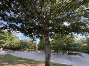 Fowler Skate Park © Erdem Aydin on Google Maps