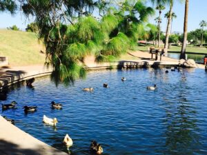 Freestone District Park © Shirley Xie (Jun’s FlavorTrails) on Google Maps