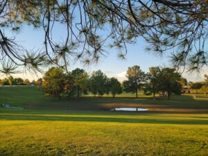 Freestone District Park © Cole Dykstra on Google Maps