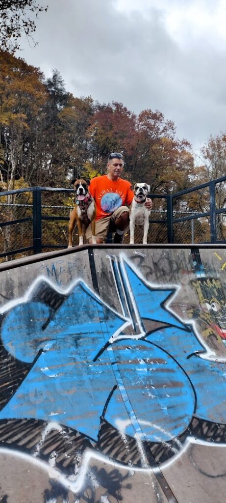 Gmc Alpine Skatepark © Jason C. on Google Maps
