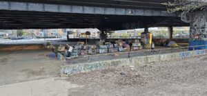 Garfield Park Diy Skatepark © Michael Persaud on Google Maps