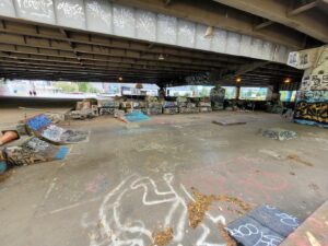 Garfield Park Diy Skatepark