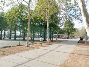 Gene Green Skatepark © pmarrero on Google Maps